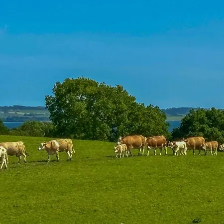 Half-timbered Farm With Sea View At Kalovig Hébergement de vacances *
