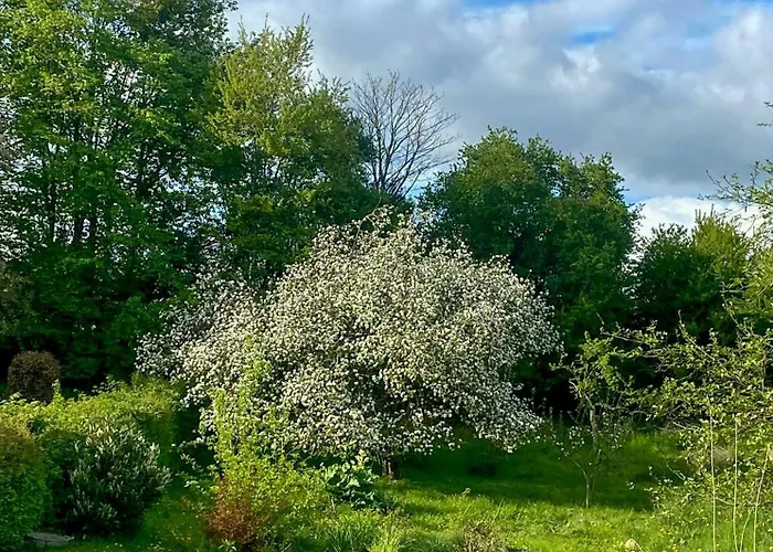 Half-timbered Farm With Sea View At Kalovig * Rodskov